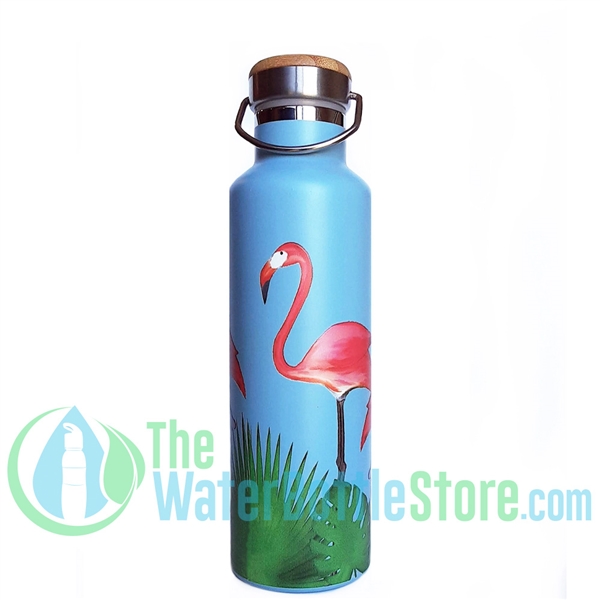 https://www.thewaterbottlestore.com/v/vspfiles/photos/BC01-2T.jpg